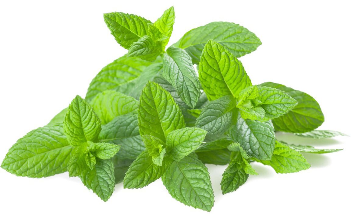 Hondrolife mint oil
