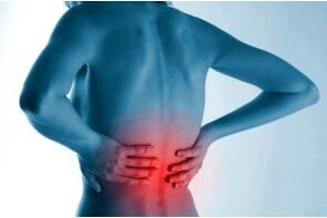 Vertebral osteochondrosis site